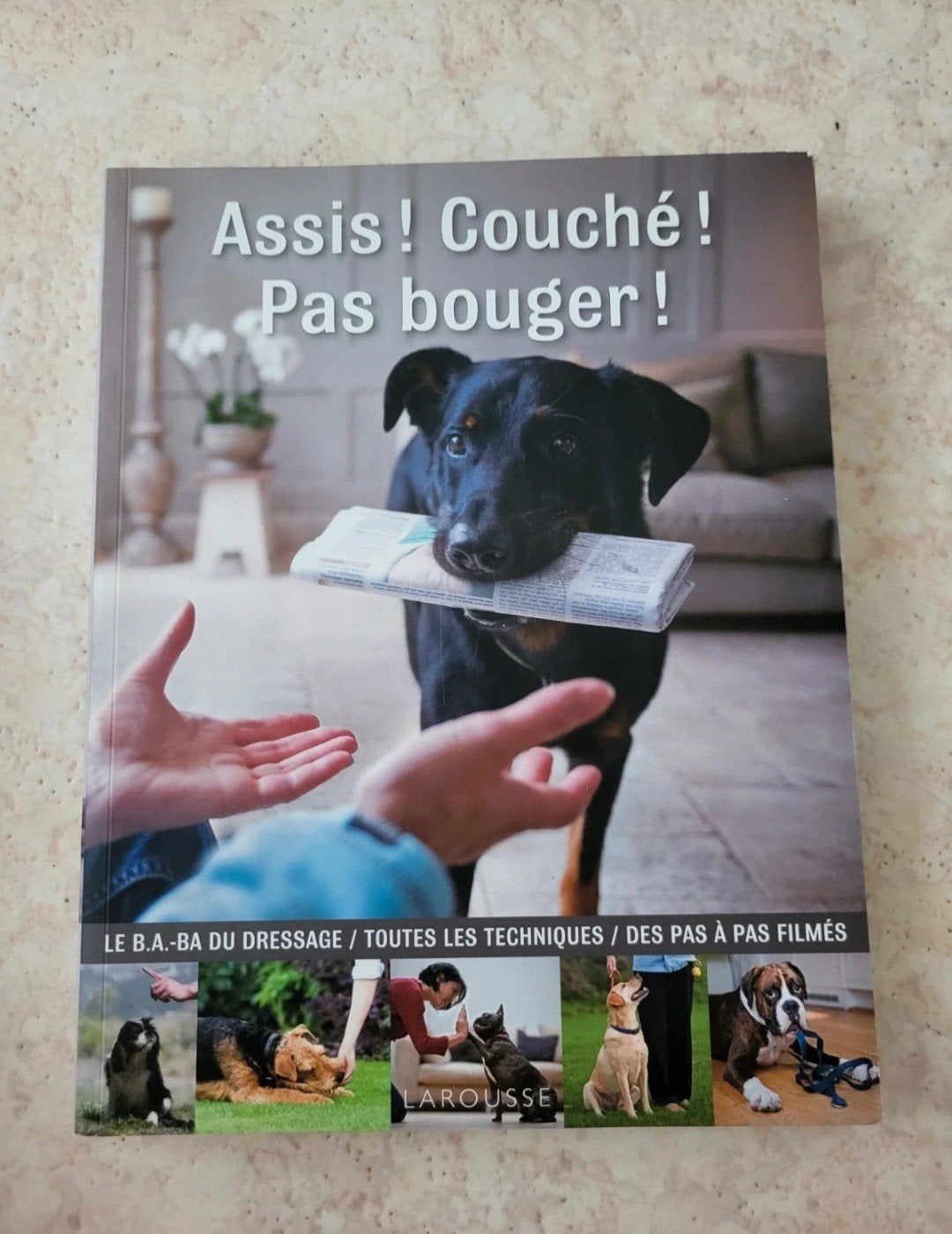 Livres informatifs/éducatifs sur les chien/chat, Enlèvement ou Envoi
