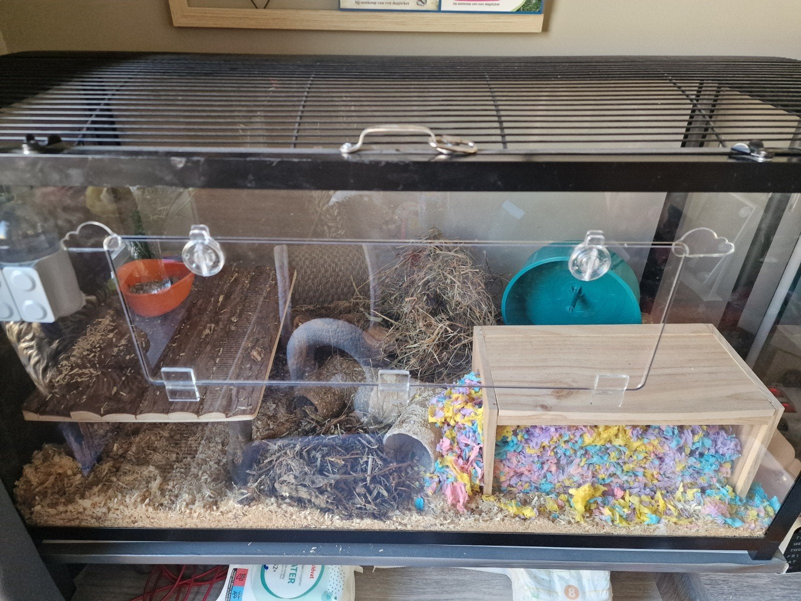 knaagdier terrarium met goudhamster, Ophalen, Kooi