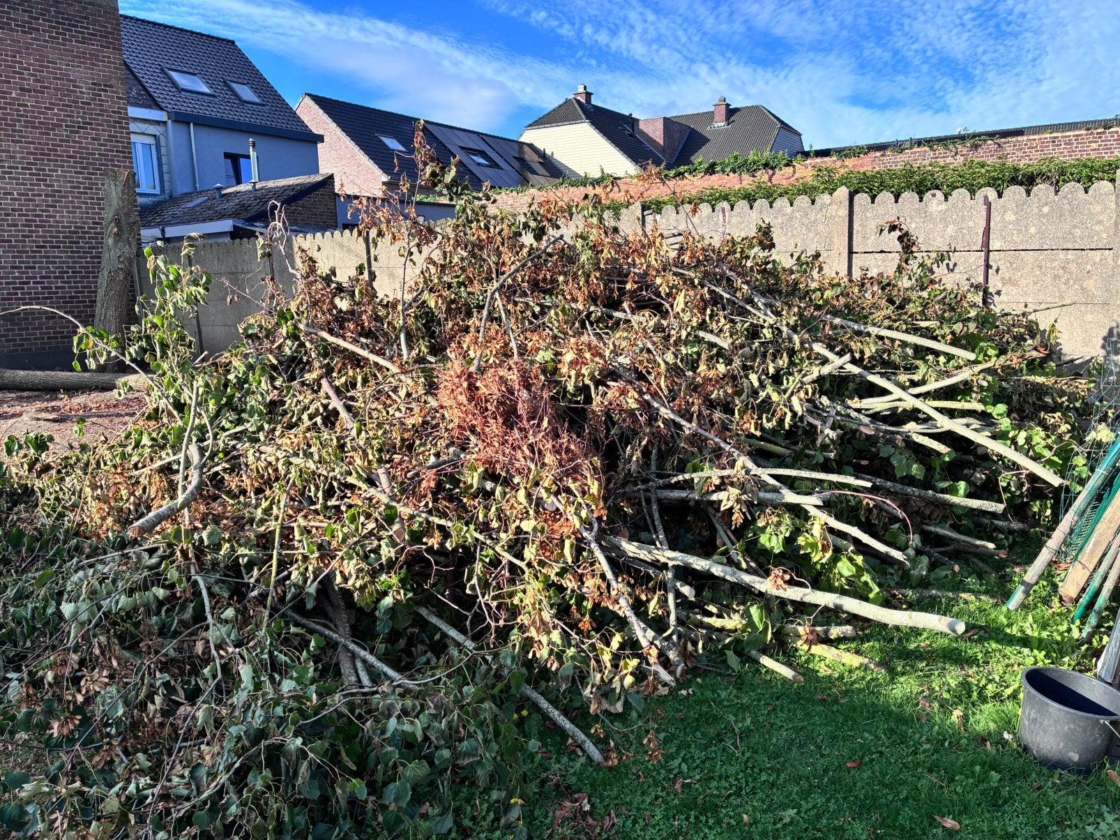Gratis hout + vergoeding €75, ophalen in Oudenaarde, Tuin en Terras, Ophalen, Takken