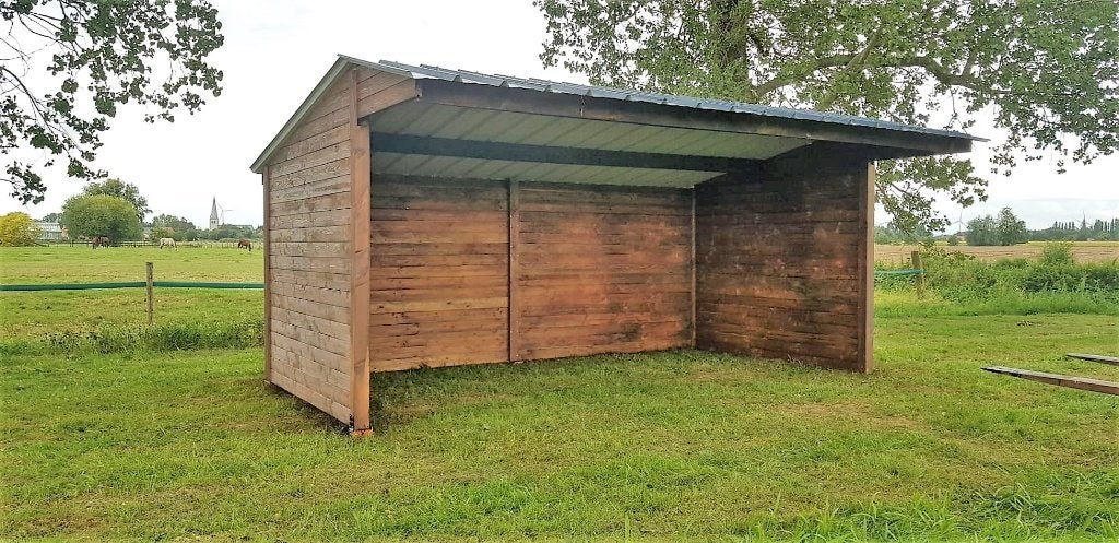 Abri de 4 x 6 m en planches de bois de Douglas massif, Animaux & Accessoires, Mise à l'étable