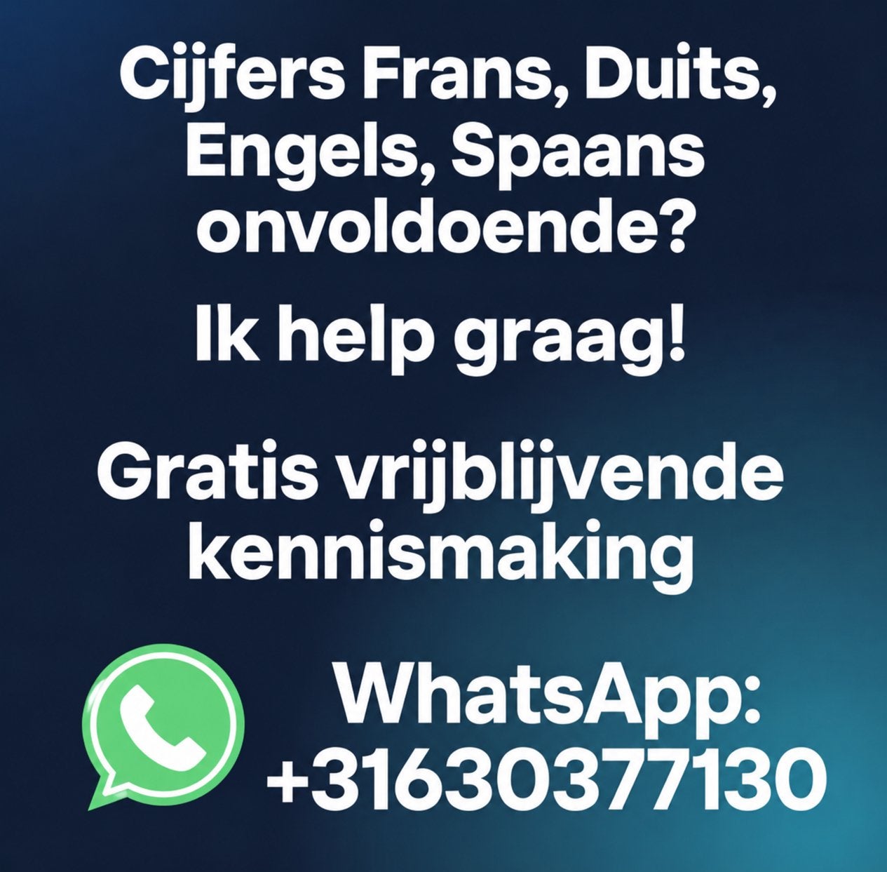 Bijles Frans, Duits, Engels & Spaans | Online, Privéles, Bijles