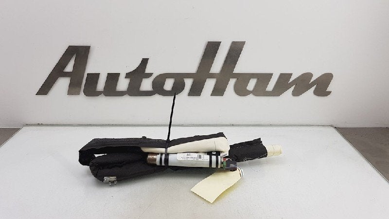 AIRBAG TOIT GAUCHE Renault Scénic III (JZ), Dhr. J. Ham, Renault, Administratie@autoham.nl, Utilisé
