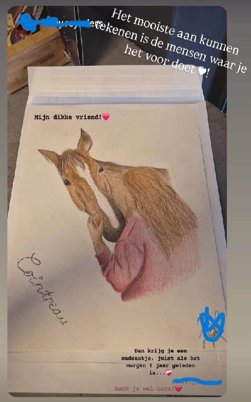 Tekening van uw paard, Ophalen