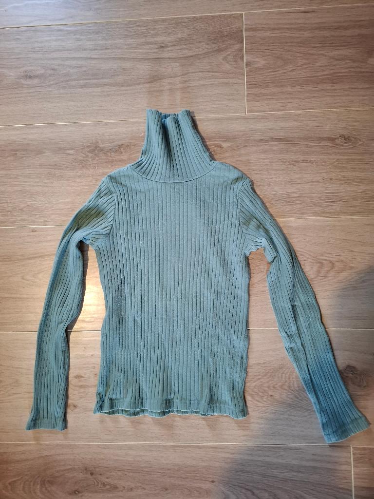 Sous-pull fille, Kinderen en Baby's, Kinderkleding | Maat 128, Ophalen of Verzenden, Zo goed als nieuw, Zara kids, Meisje