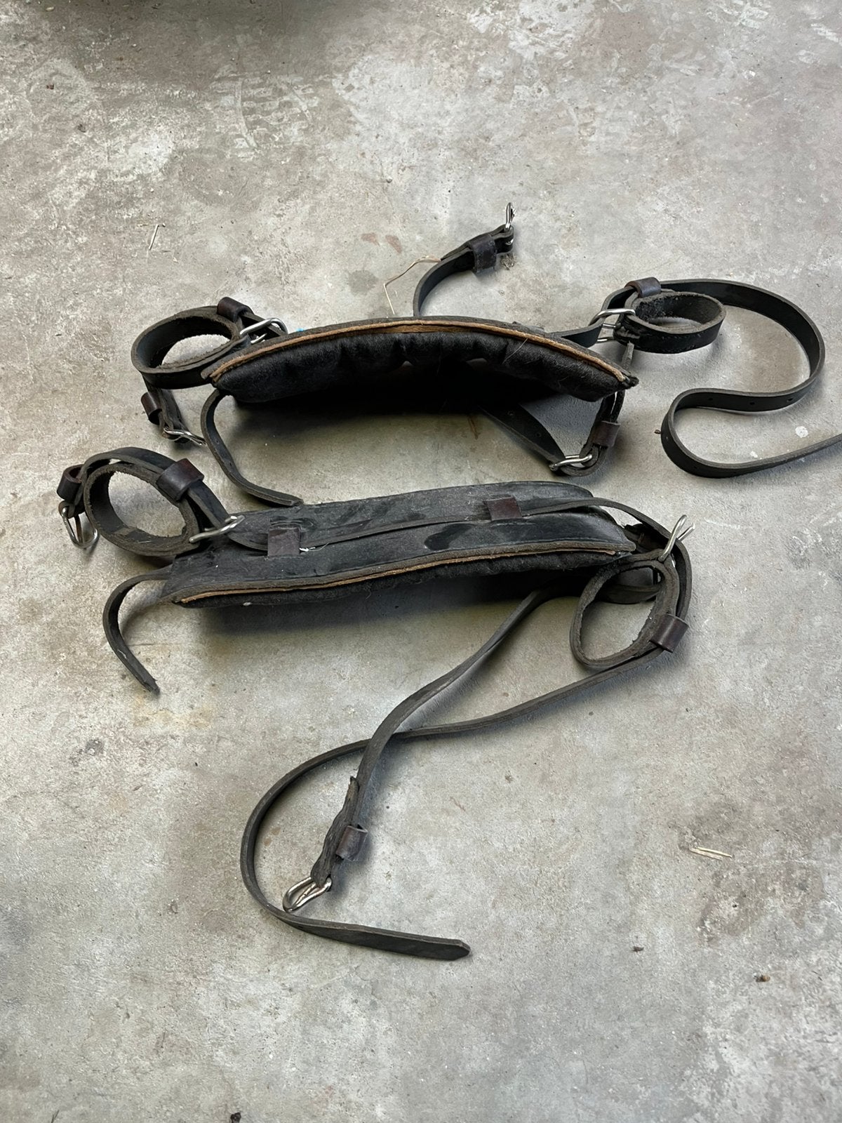 2x geiten gareeltjes tuigen bokkenwagen, Plusieurs animaux