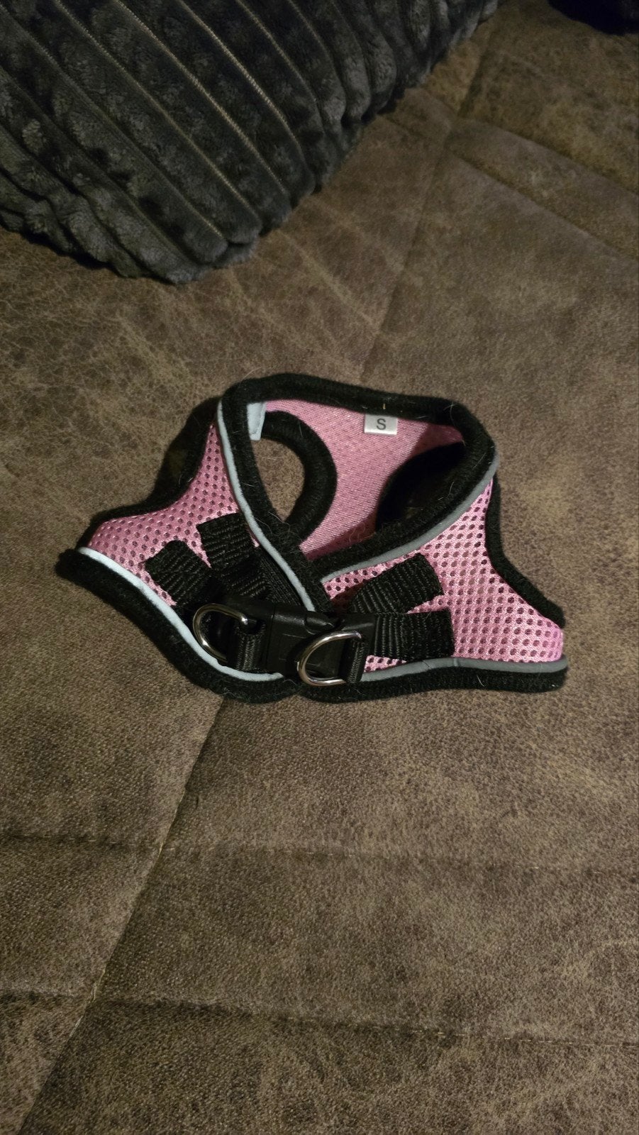 vêtements pour petits chiens, Enlèvement, Utilisé, S