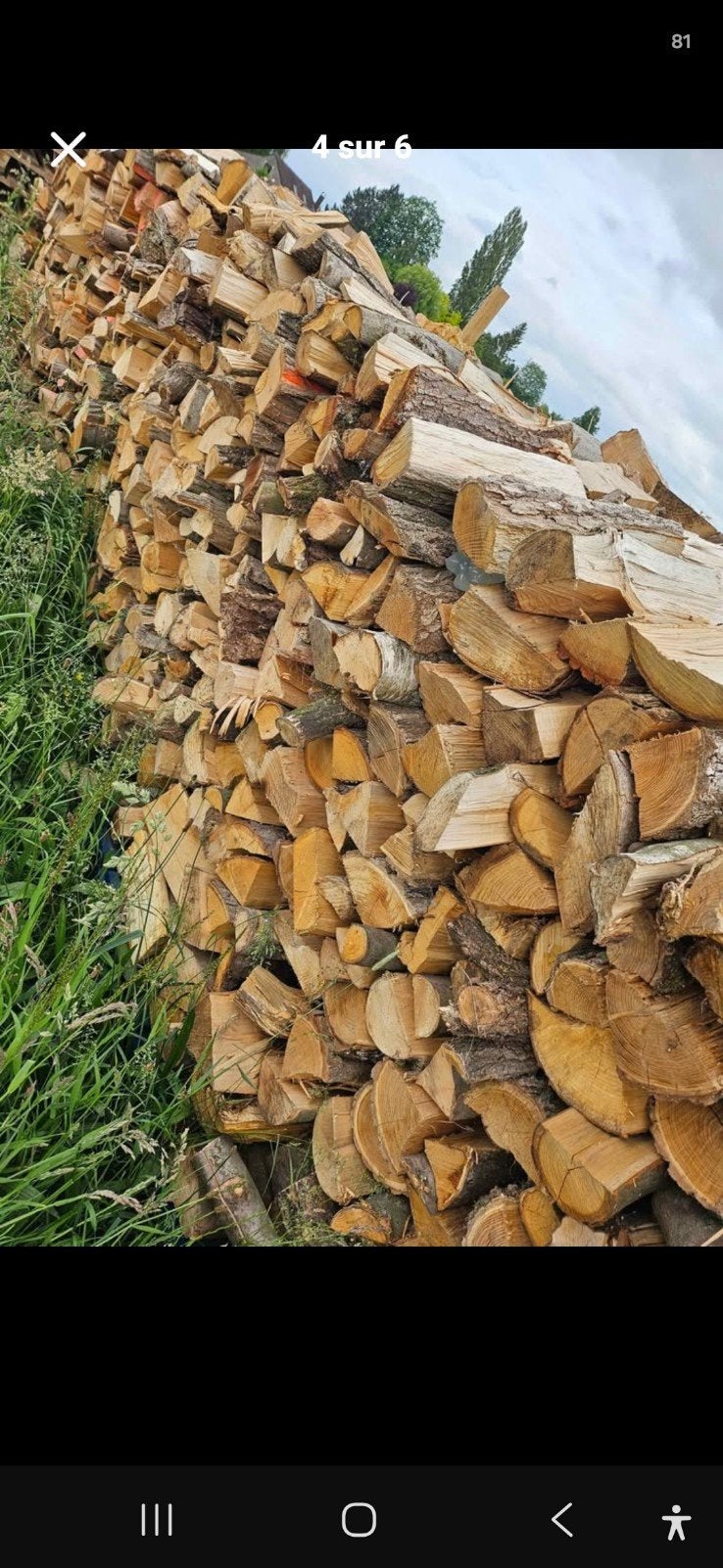 Bois dur sec Acasia-Erable 85€/St. 25 à 50cm 0478-28.75.33, Jardin & Terrasse, Enlèvement, Autres essences de bois