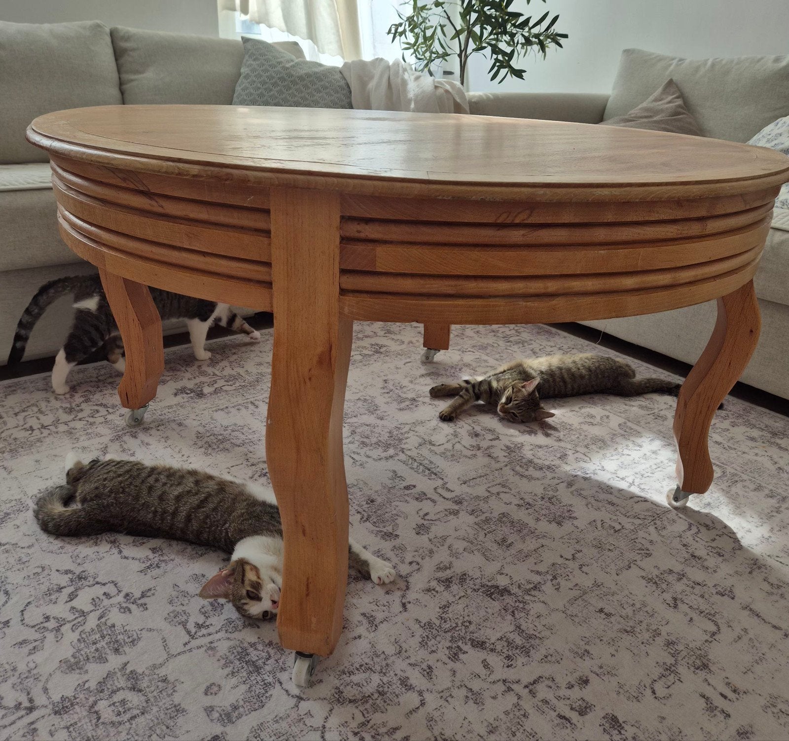 Table marocaine en bois, Ophalen