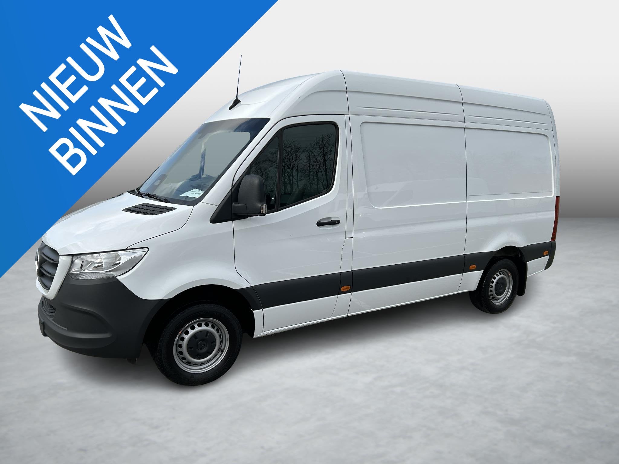 Mercedes-Benz Sprinter 315 CDI Bestelwagen RWD Pro L2, 245 g/km, Achat, Entreprise, Cruise Control