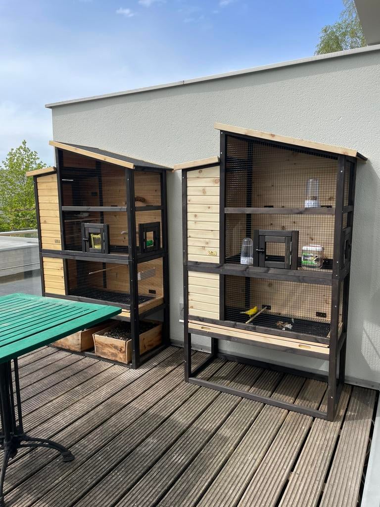 PADDA pop gezocht, Dieren en Toebehoren