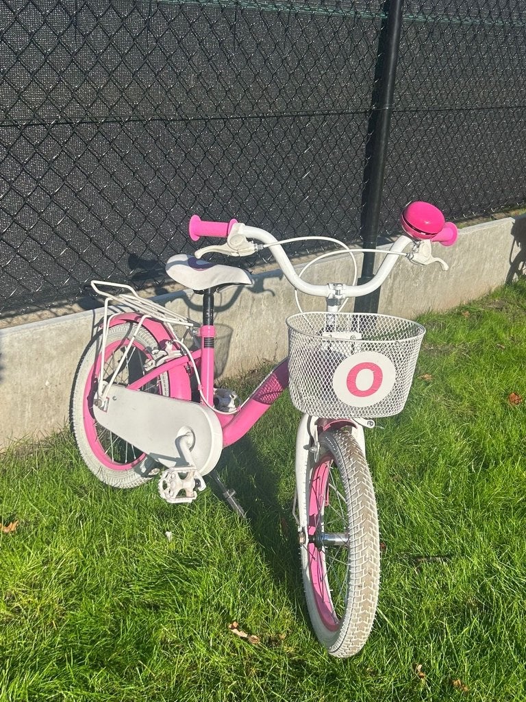 Meisjesfiets met mandje, Fietsen en Brommers, Ophalen, Zo goed als nieuw, 16 inch