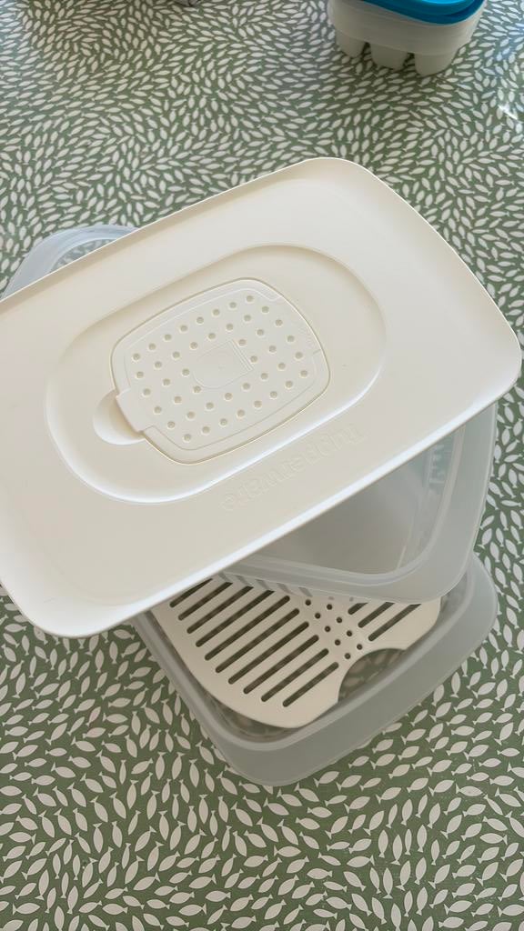 Tupperware charcuterie doos, Maison & Meubles, Cuisine| Tupperware, Enlèvement ou Envoi, Comme neuf