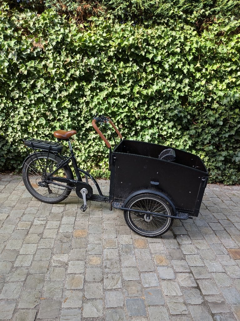 Bakfiets Vogue Troy, Gebruikt, Elektrisch, 2 kinderen, Ophalen