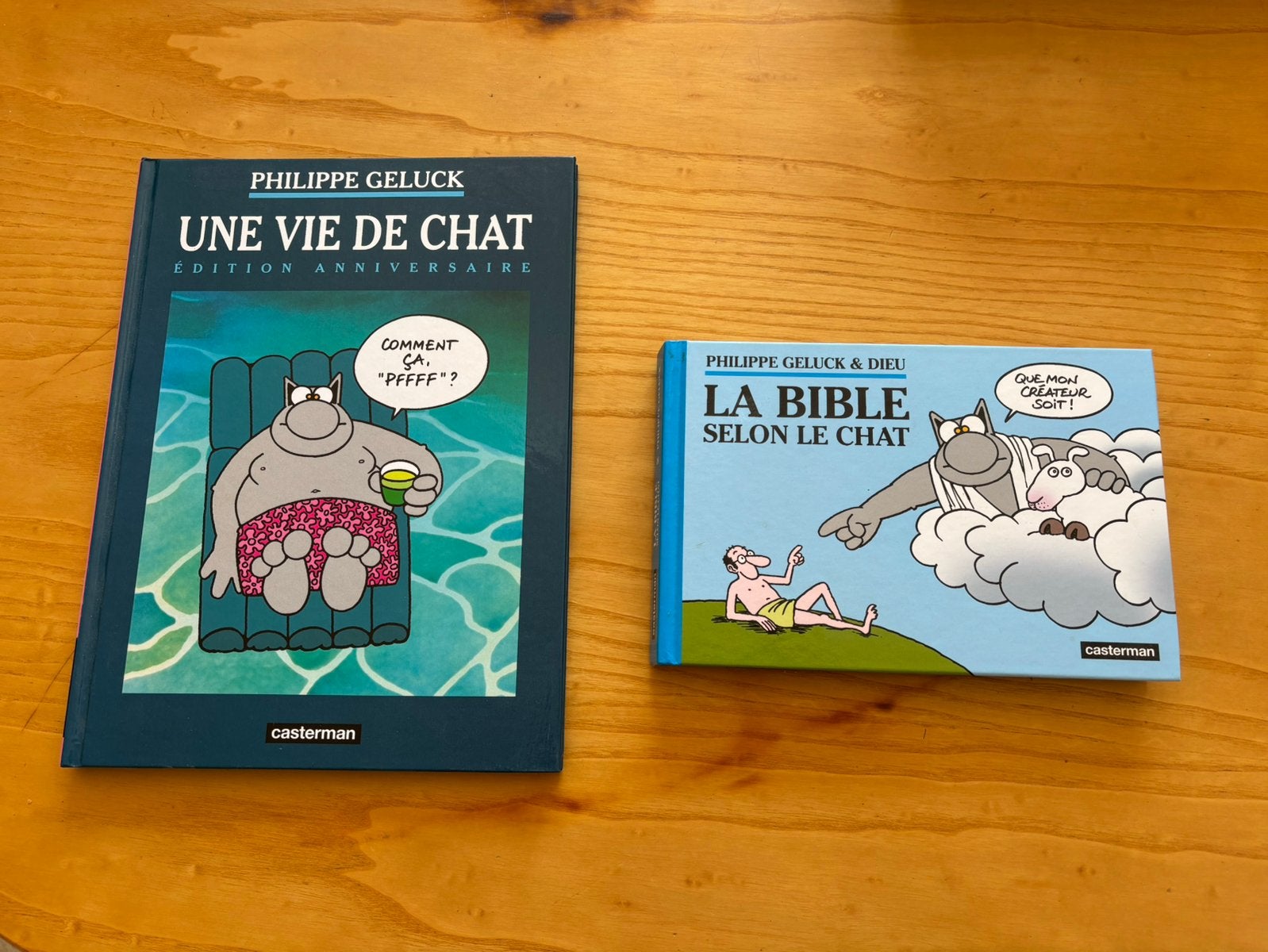 Le chat, Enlèvement, Comme neuf
