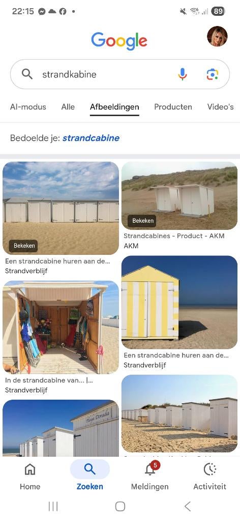 Strandcabine, Enlèvement, Utilisé, Abri de jardin
