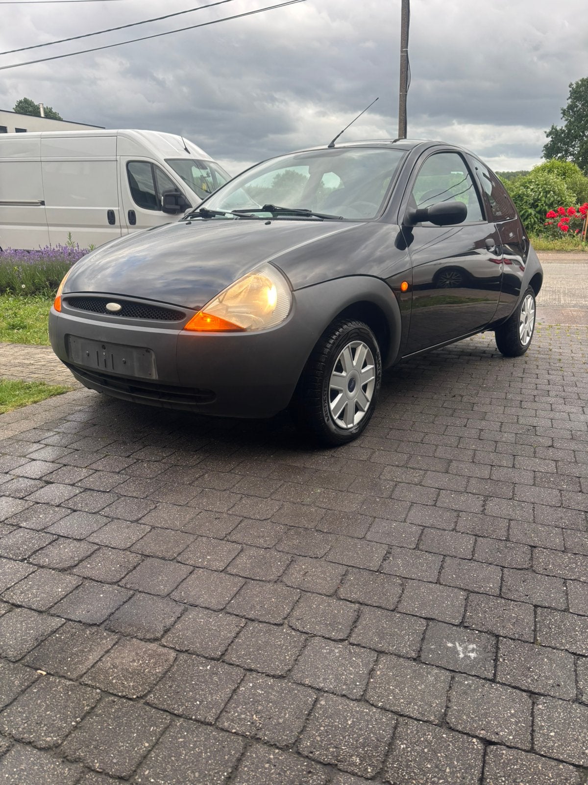 Ford KA, Auto's, Voorwielaandrijving, 1299 cc, Stof, Zwart