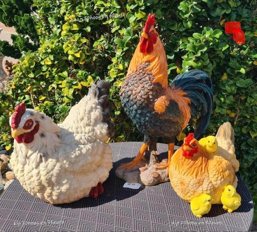 Polyester haan, kippen ... allerlei, Tuin en Terras, Tuinbeelden, Ophalen, Nieuw, Kunststof, Dierenbeeld