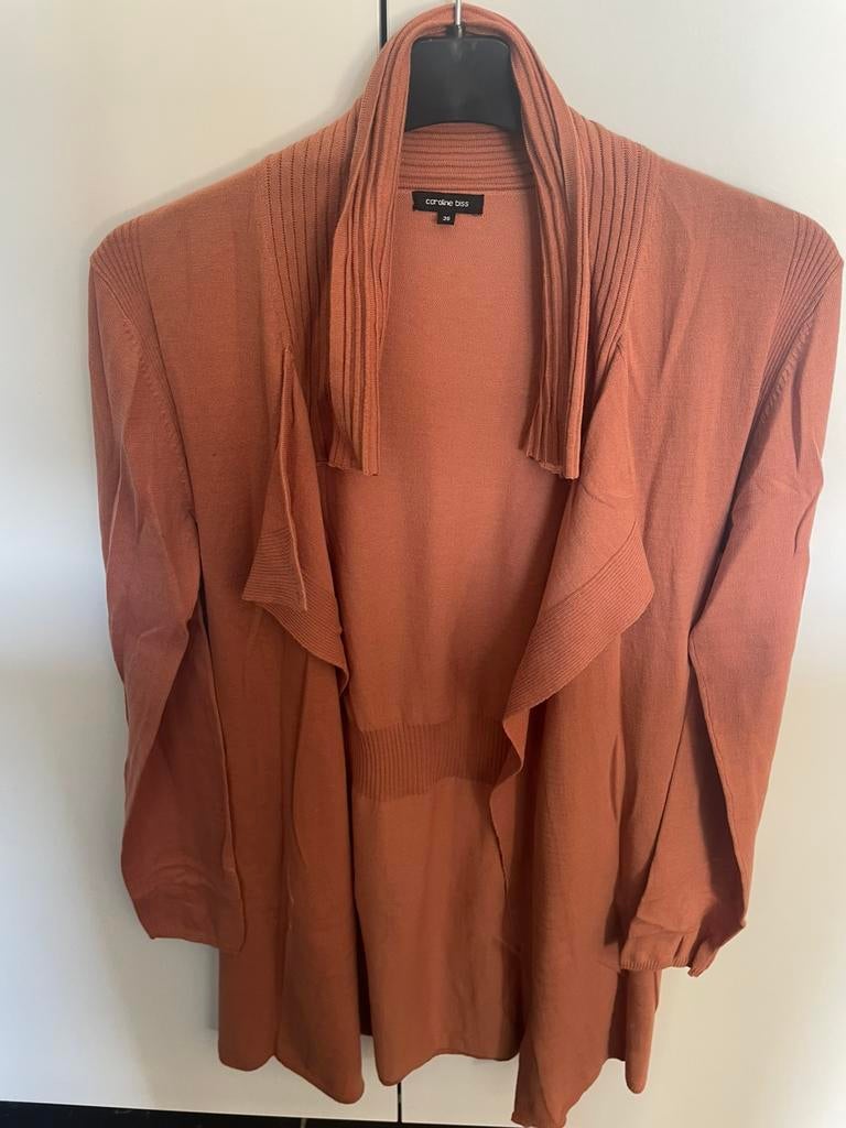 Oud roze gilet Caroline Biss (36), Kleding | Dames, Jasjes, Kostuums en Pakken, Ophalen of Verzenden, Zo goed als nieuw, Roze