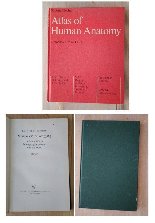 sabotta/ becher atlas of human anatomy 1 en beweging en vorm, Ophalen of Verzenden
