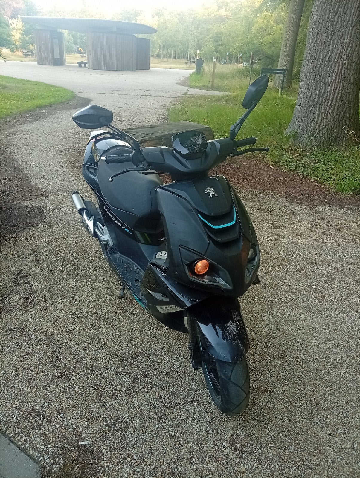 Peugeot speedfight te koop met werk aan, Fietsen en Brommers, Scooters | Peugeot, Ophalen, Speedfight