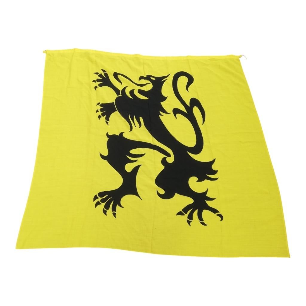 Vlaamse Leeuw - vlag/vaandel, Ophalen of Verzenden, Gebruikt