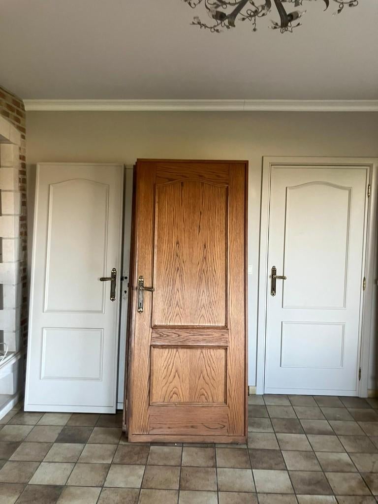 Binnendeuren te koop (onmiddellijk beschikbaar), Ophalen, Gebruikt, Binnendeur, 200 tot 215 cm