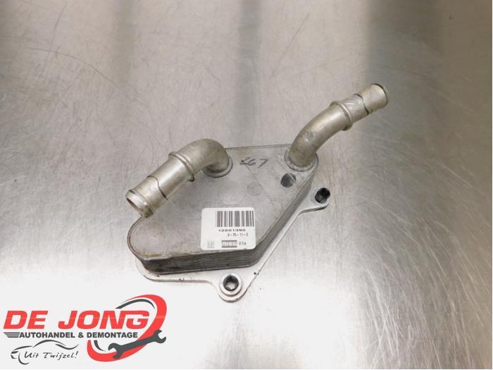 Refroidisseur d'huile d'un Opel Insignia, -, Opel, 3 mois de garantie, Utilisé