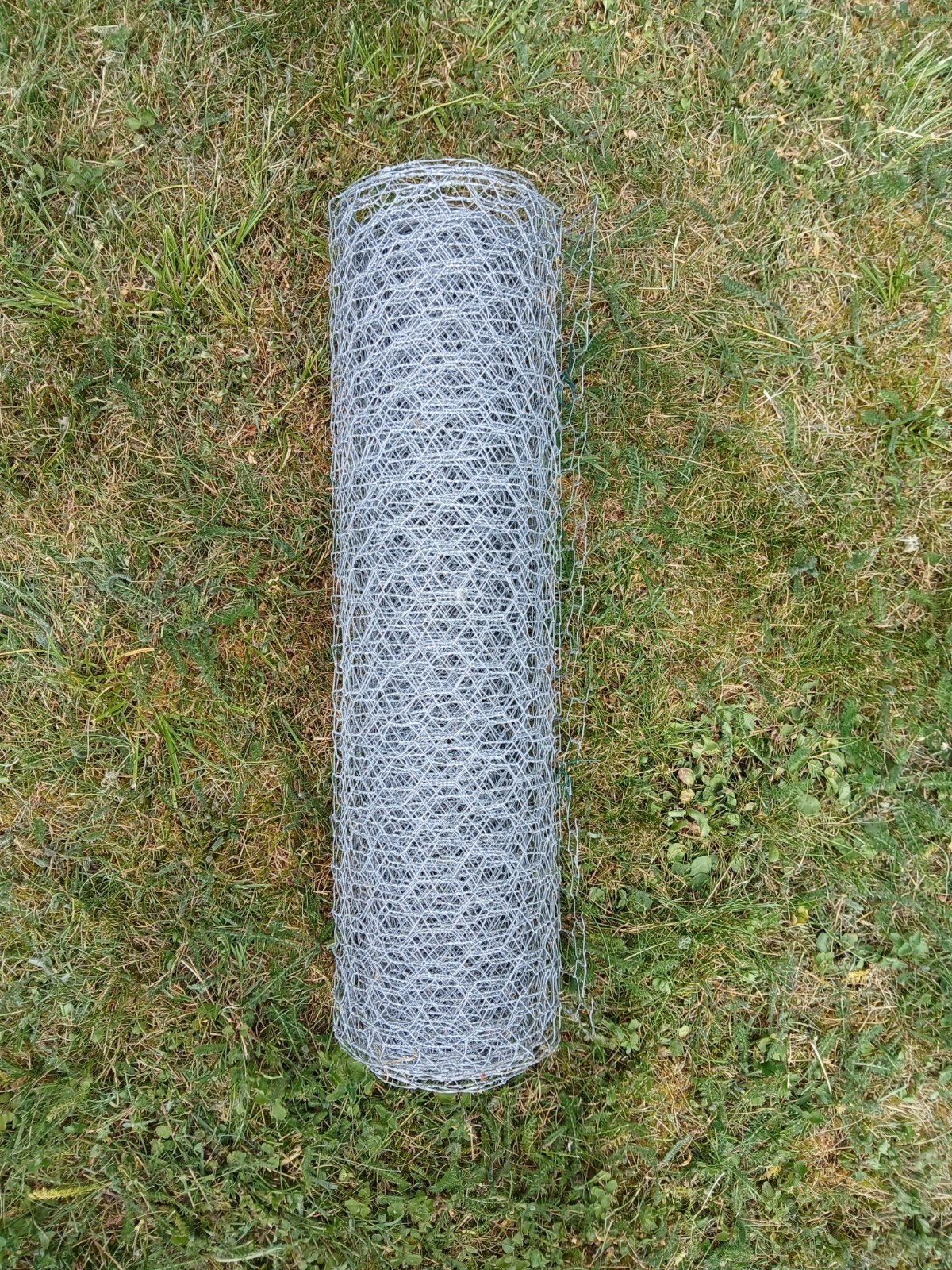 Treillis de poules, Jardin & Terrasse, Gaze & Fils, Enlèvement, Treillis