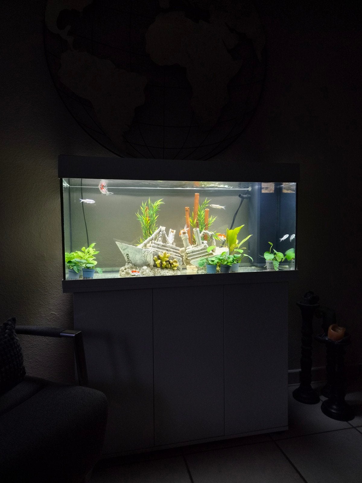 aquarium Juwel rio 180, Dieren en Toebehoren, Ophalen, Inclusief deksel, Juwel, Gevuld zoetwateraquarium