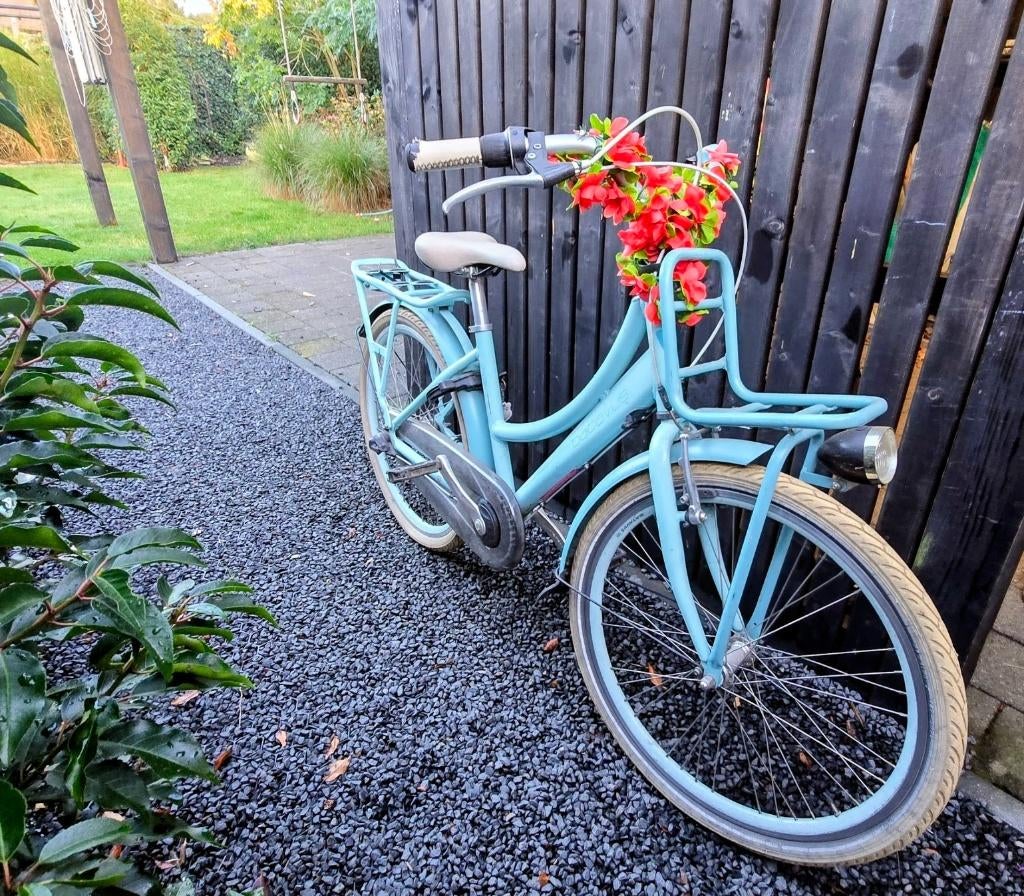 Kinderfiets Batavus 24inch in goede staat, Fietsen en Brommers, Ophalen, Handrem, BATAVUS, Gebruikt
