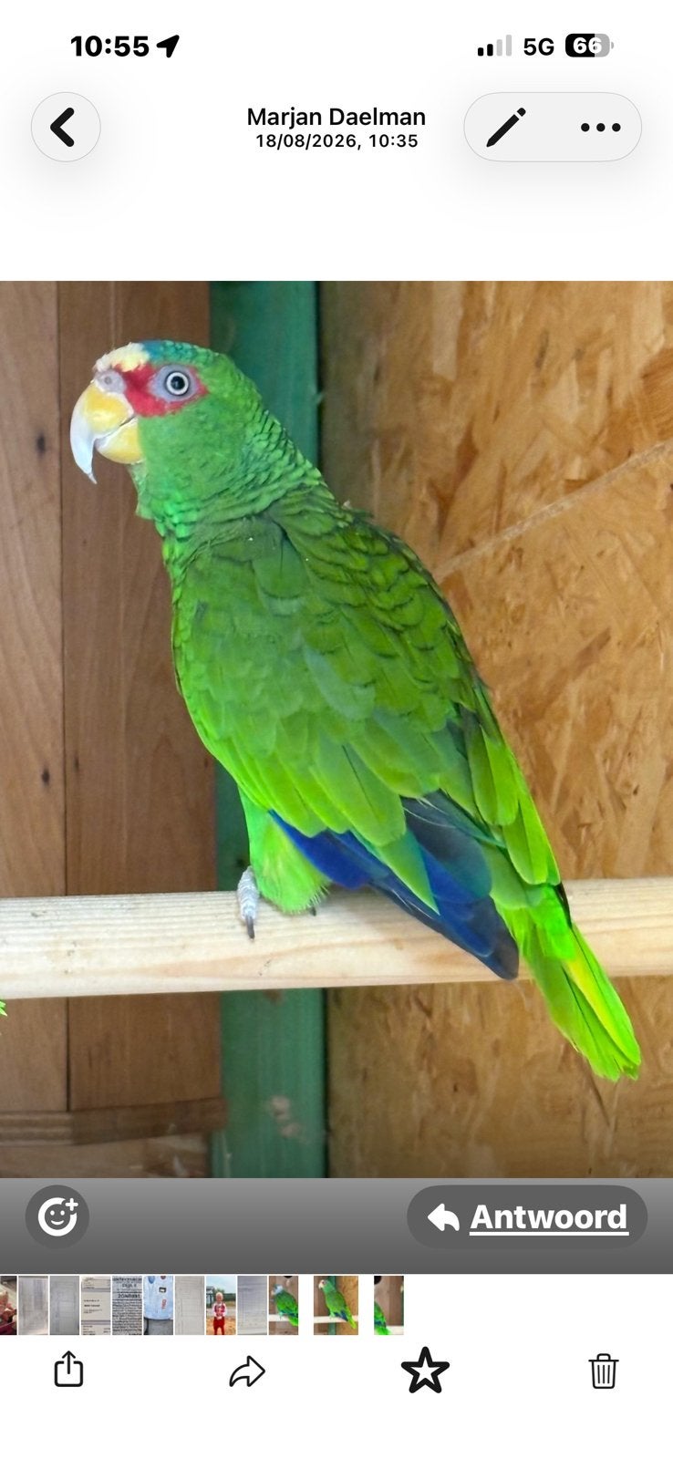 Te koop