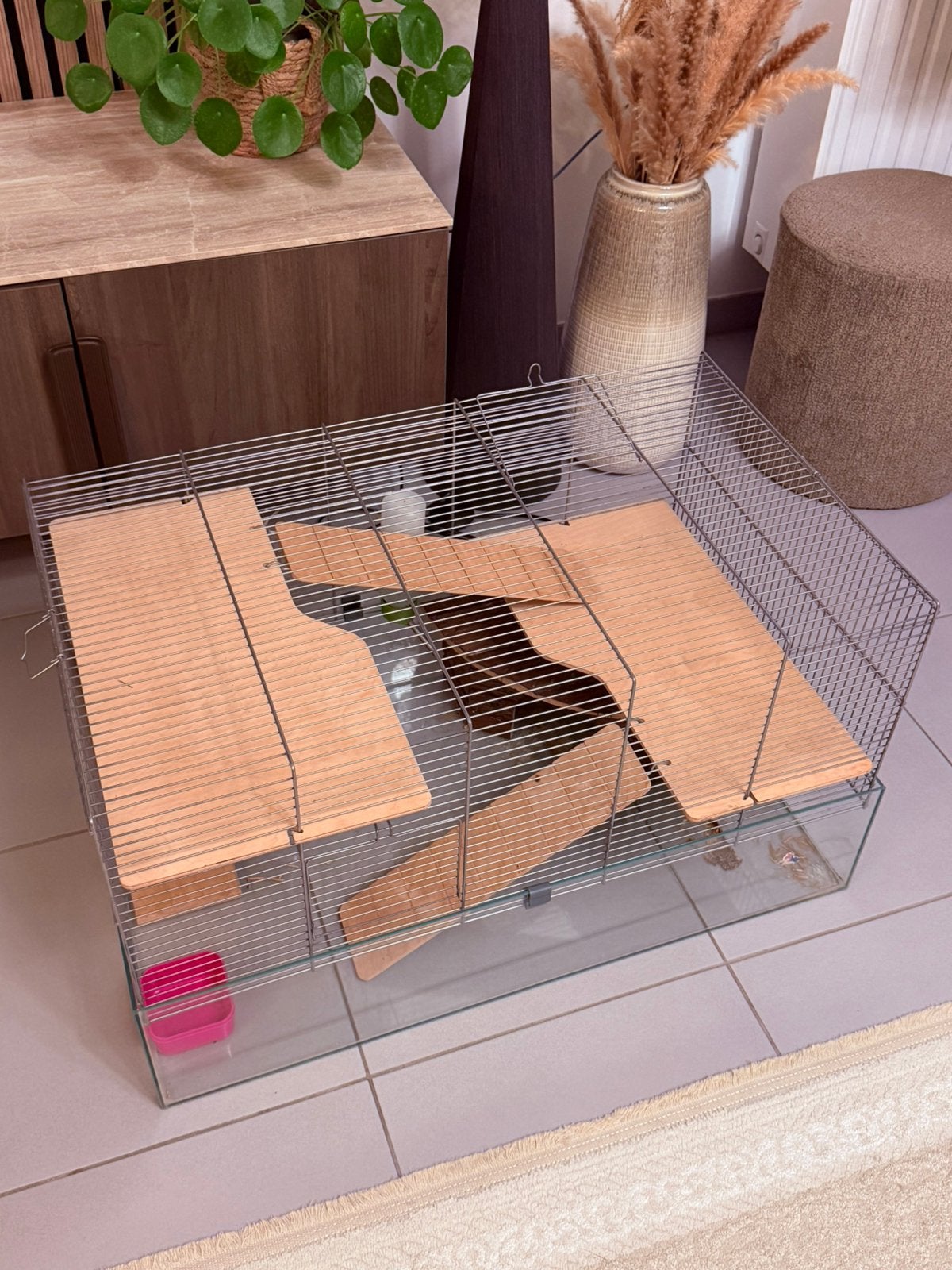 Hamster of cavia kooi met glas, Animaux & Accessoires, Enlèvement, Comme neuf, Cage, Cobaye