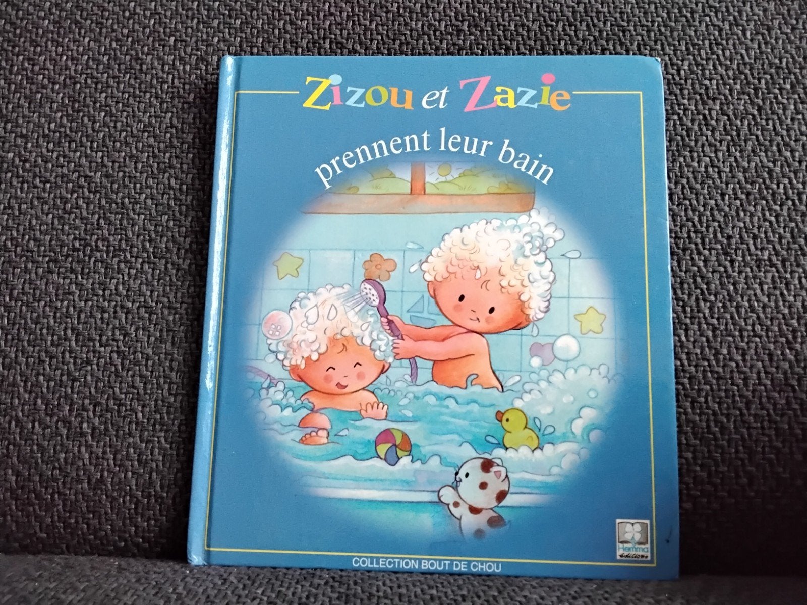 zizou et Zazie prennent leur bain, Enlèvement