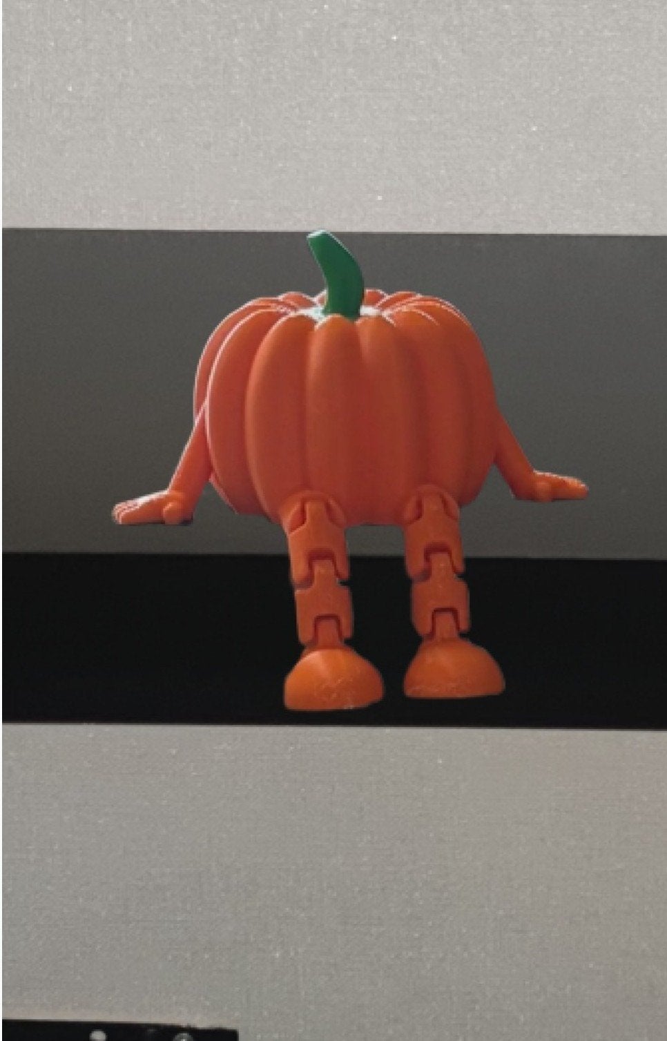 Citrouille articulée, Enlèvement