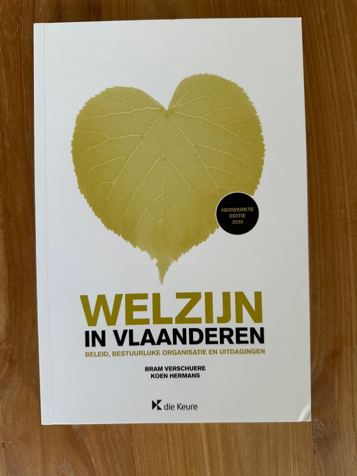 Bram Verschuere - Welzijn in Vlaanderen, Boeken, Verzenden, Bram Verschuere; Koen Hermans