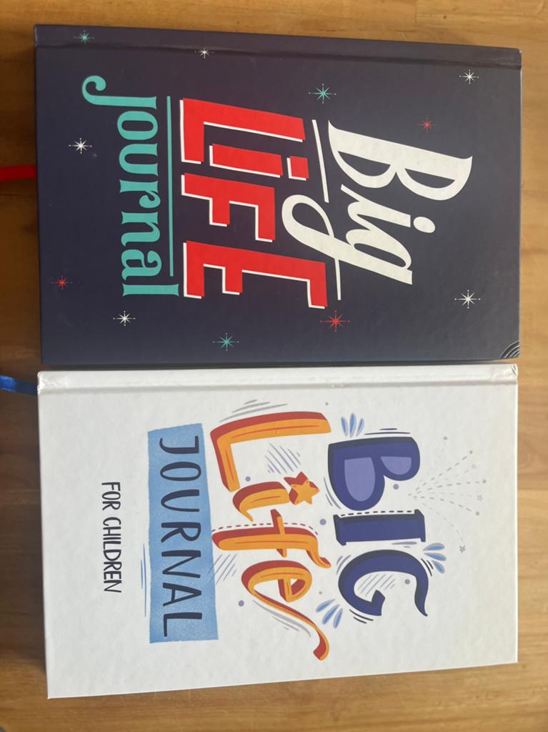 Big life journal, Livres, Psychologie, Enlèvement, Comme neuf