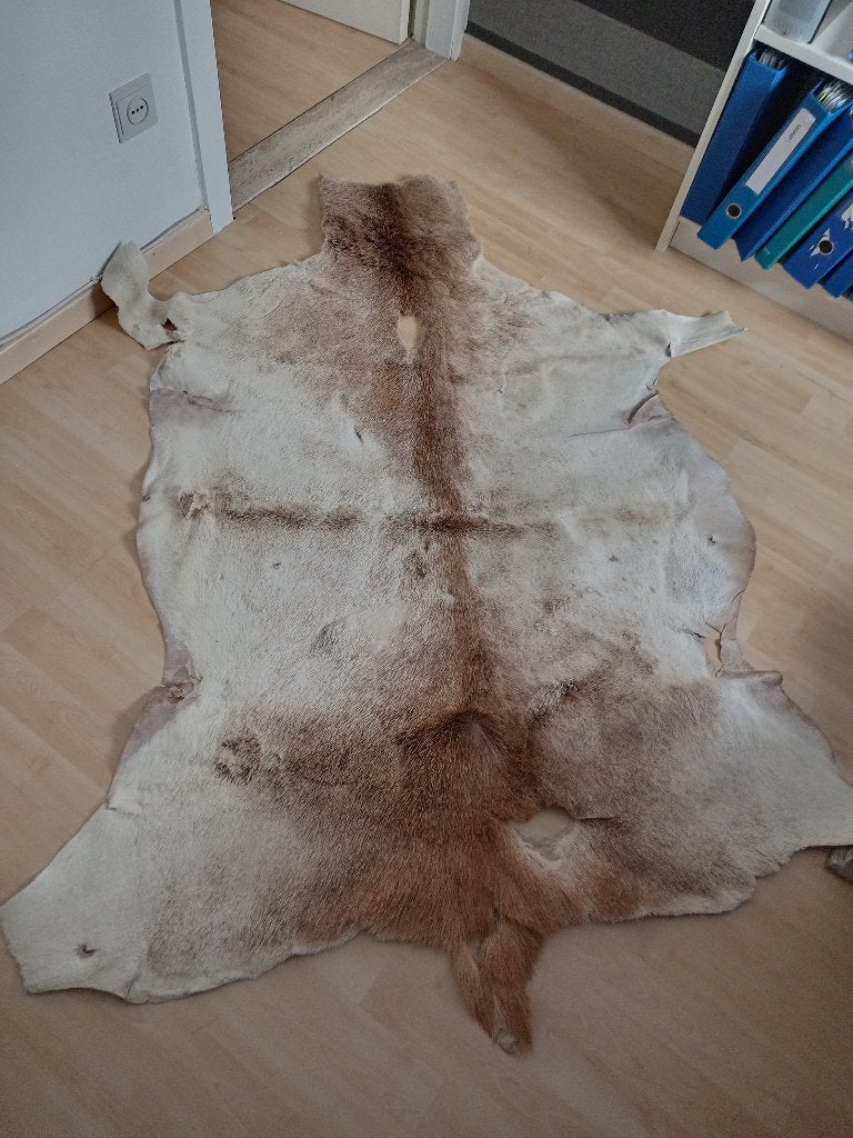 Rendiervel licht bruin, Ophalen, Gebruikt, Bruin, 100 tot 150 cm