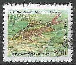 Sri Lanka 1990 - Yvert 937 - Poissons indigènes (ST), Envoi, Affranchi