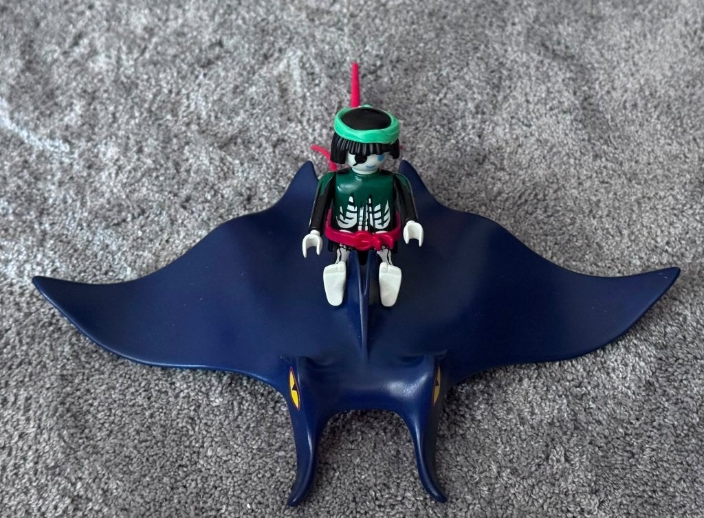 playmobile (pijlstaartrog), Enlèvement, Utilisé, Pièces détachées, Autres types