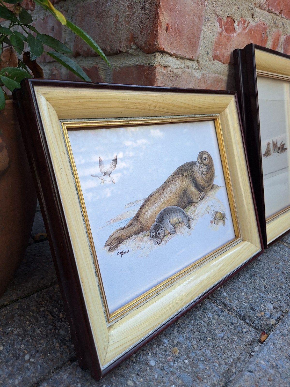2 magnifiques cadres avec des dessins à la plume, Enlèvement