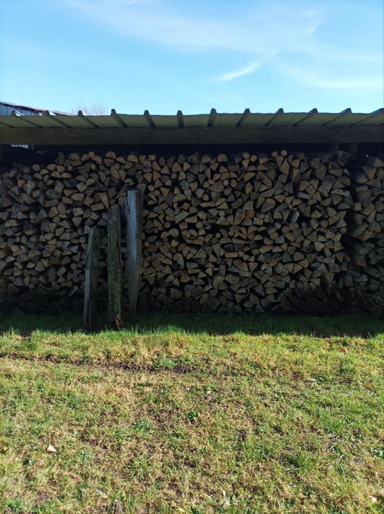 Bois de chauffage hêtre sec, Enlèvement, Bouleau