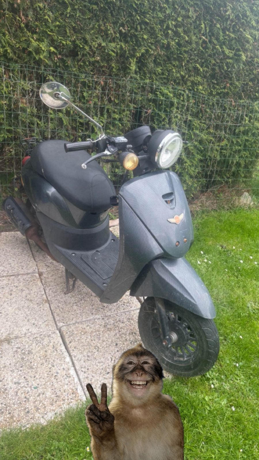 Razzo Milano scooter, Enlèvement, Utilisé, Essence