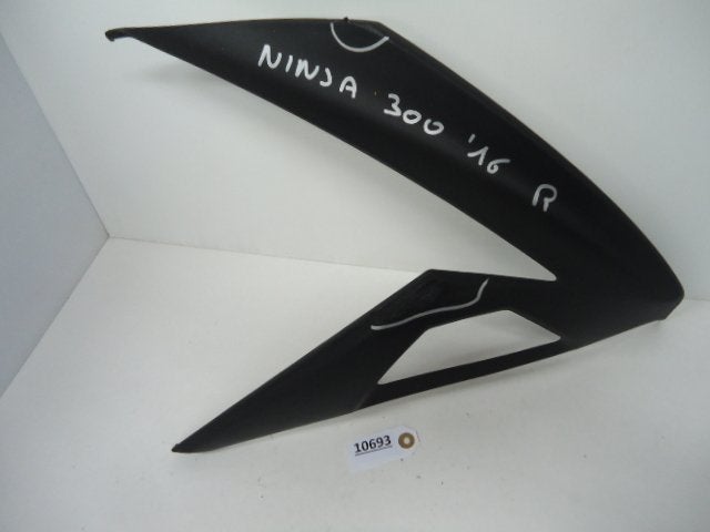 ninja 300R 2012 - 2017 Kawasaki Kuipdeel D1-18892, Motoren