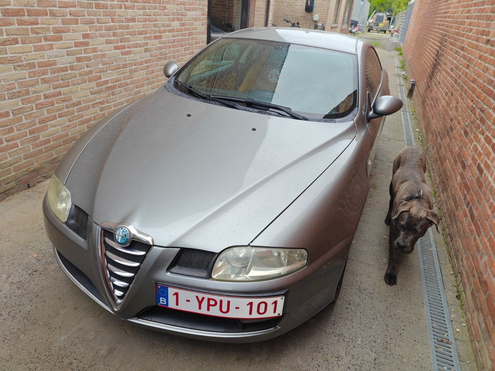 Alfa Romeo GT 2.0 jts, Autos, Achat, Boîte manuelle, Particulier, 3 portes