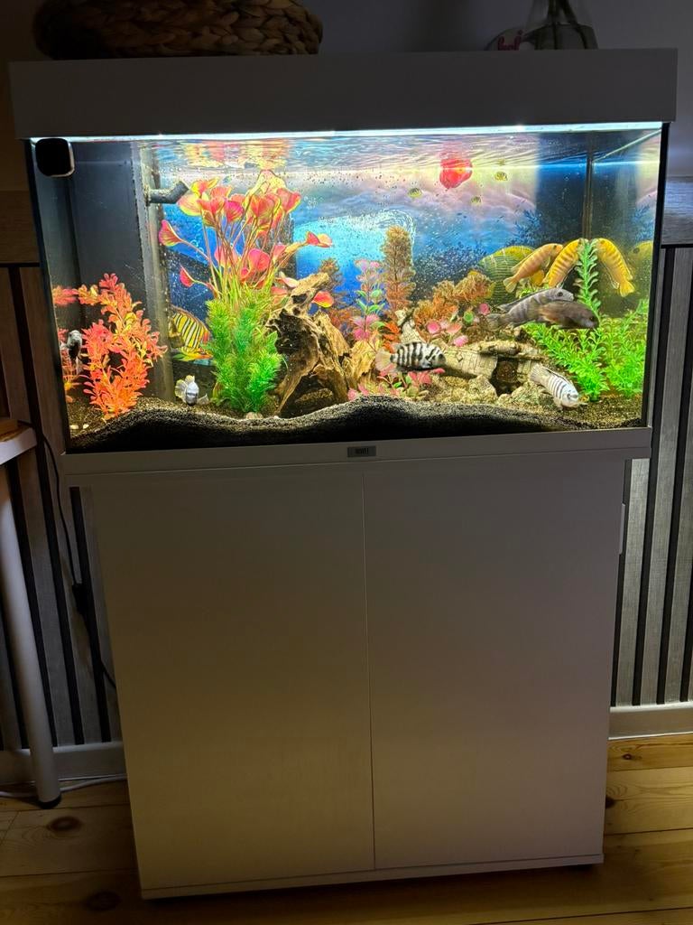 Aquarium te koop – compleet set, Dieren en Toebehoren, Ophalen, Zo goed als nieuw