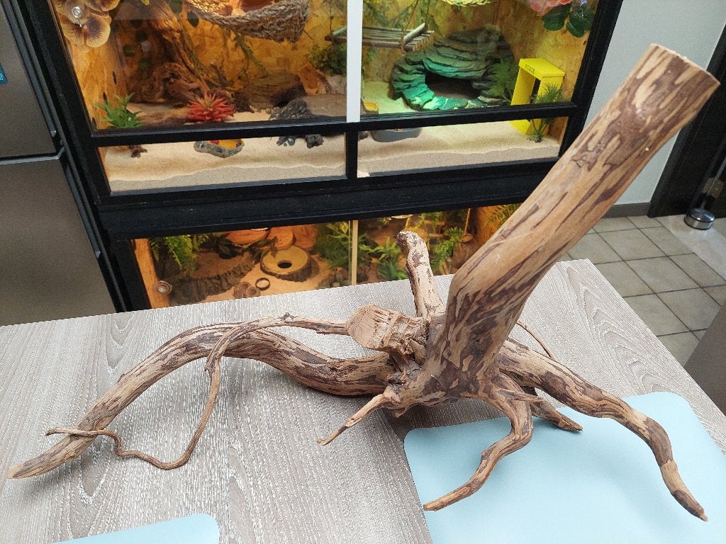 Terrarium tak, Animaux & Accessoires, Reptiles & Amphibiens | Accessoires, Enlèvement, Utilisé