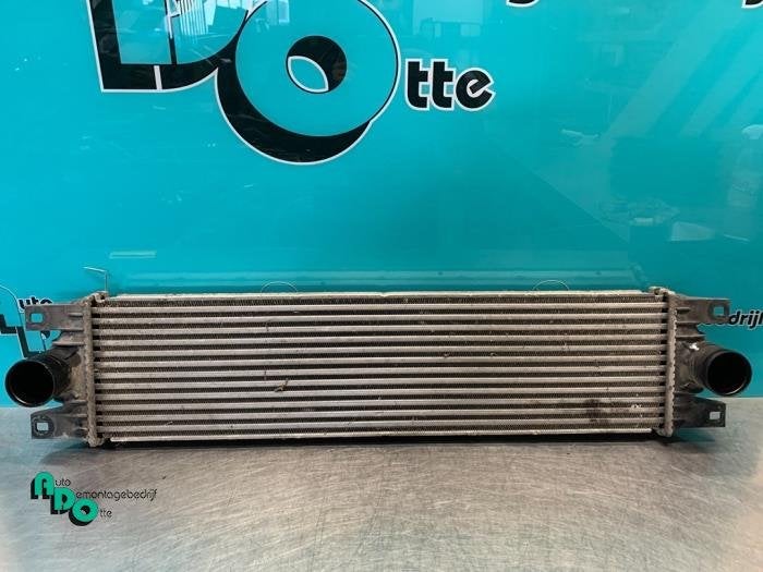 Intercooler van een Opel Movano (Movano 00-), Gebruikt, -, -, Opel