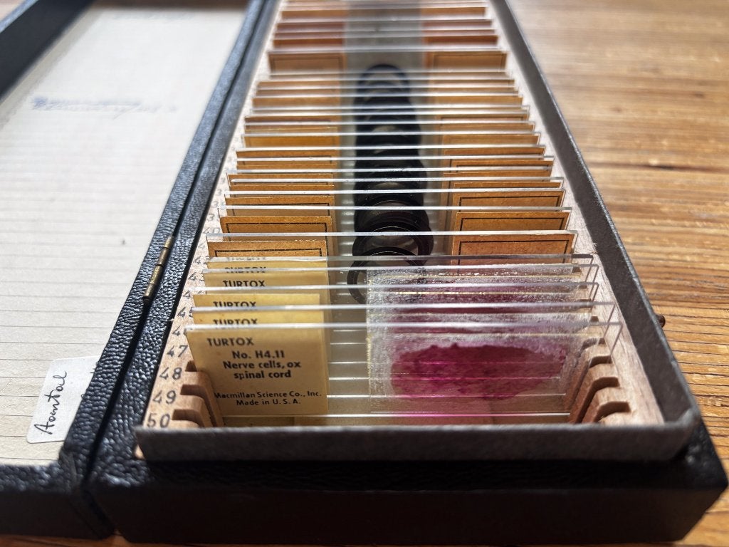 Doos microscooppreparaten oa Turtox Nerve cells spinal cord, Ophalen of Verzenden