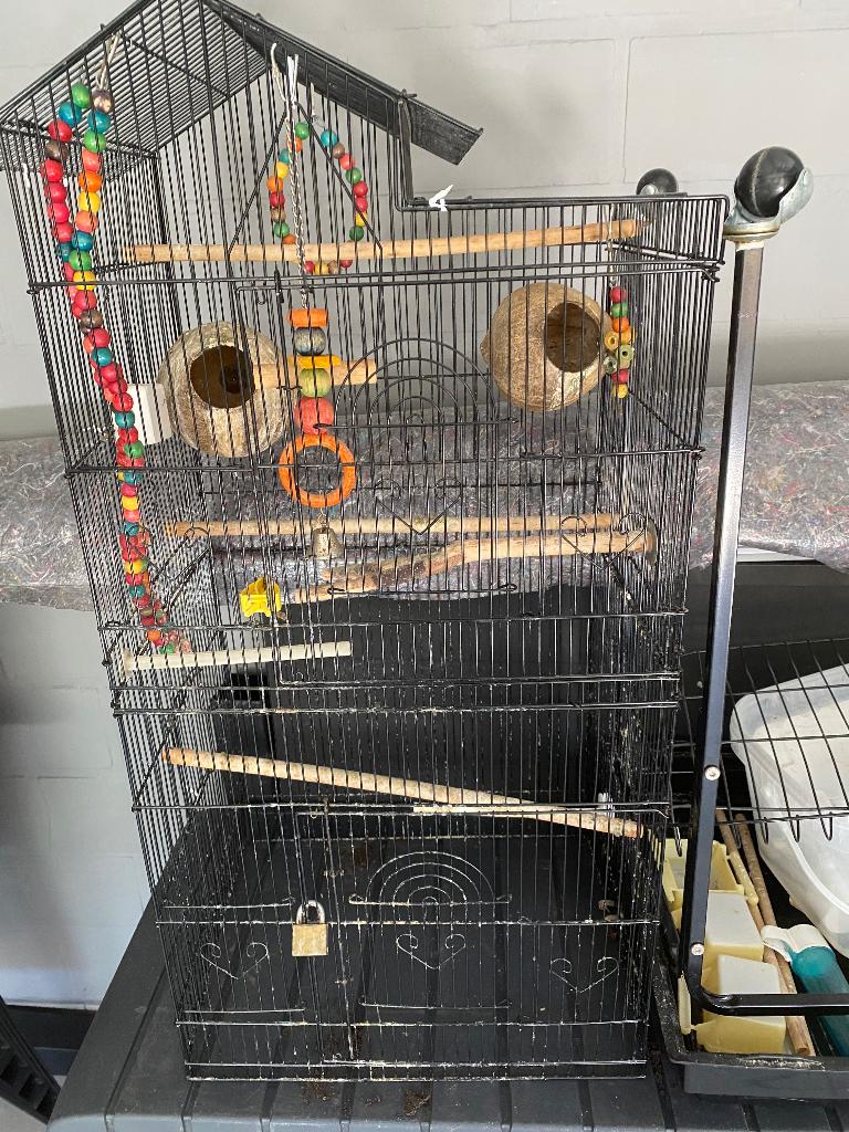 Vogelkooi, Enlèvement, Utilisé, Métal, Cage à oiseaux