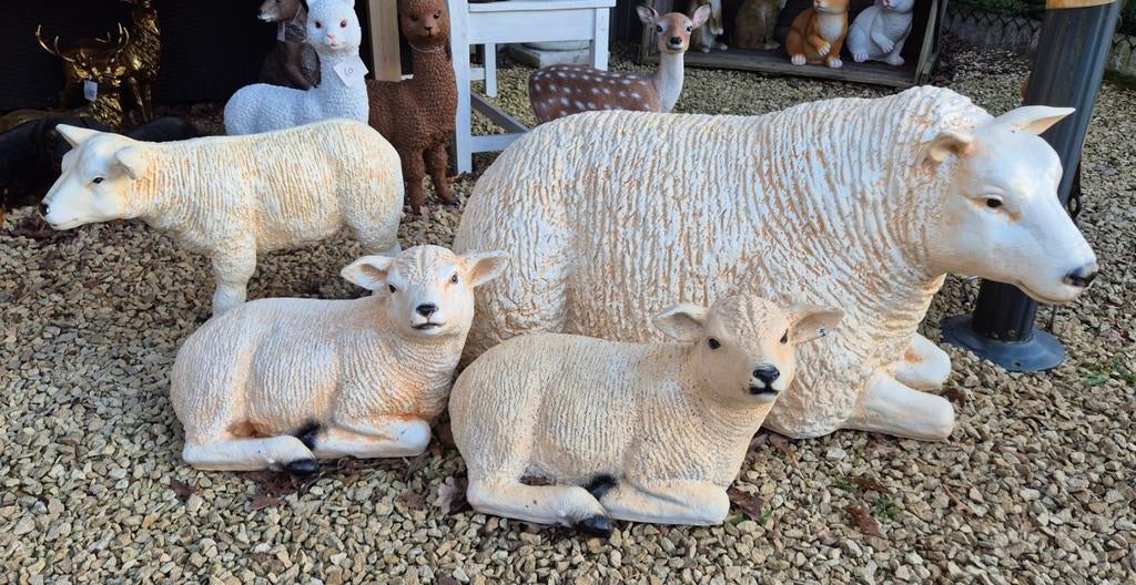 Texel schapen,  en lammen ,polyester, Tuin en Terras, Tuinbeelden, Ophalen, Nieuw, Kunststof, Dierenbeeld